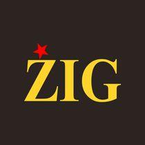 ŽIG radionica logo